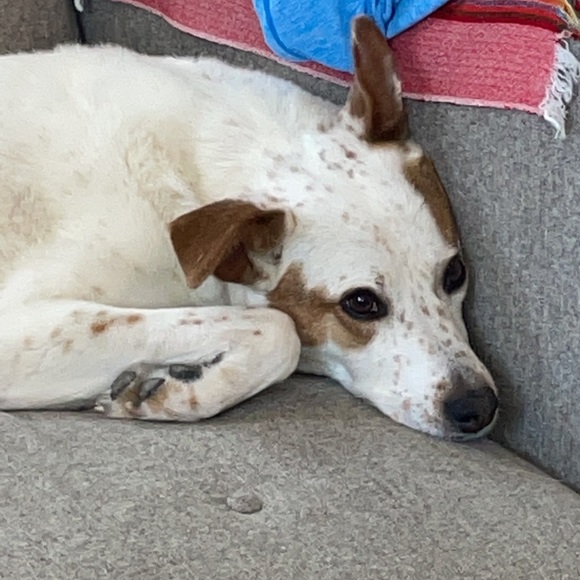 Meet your Posher, Katarzyna - Picture 1 of 1